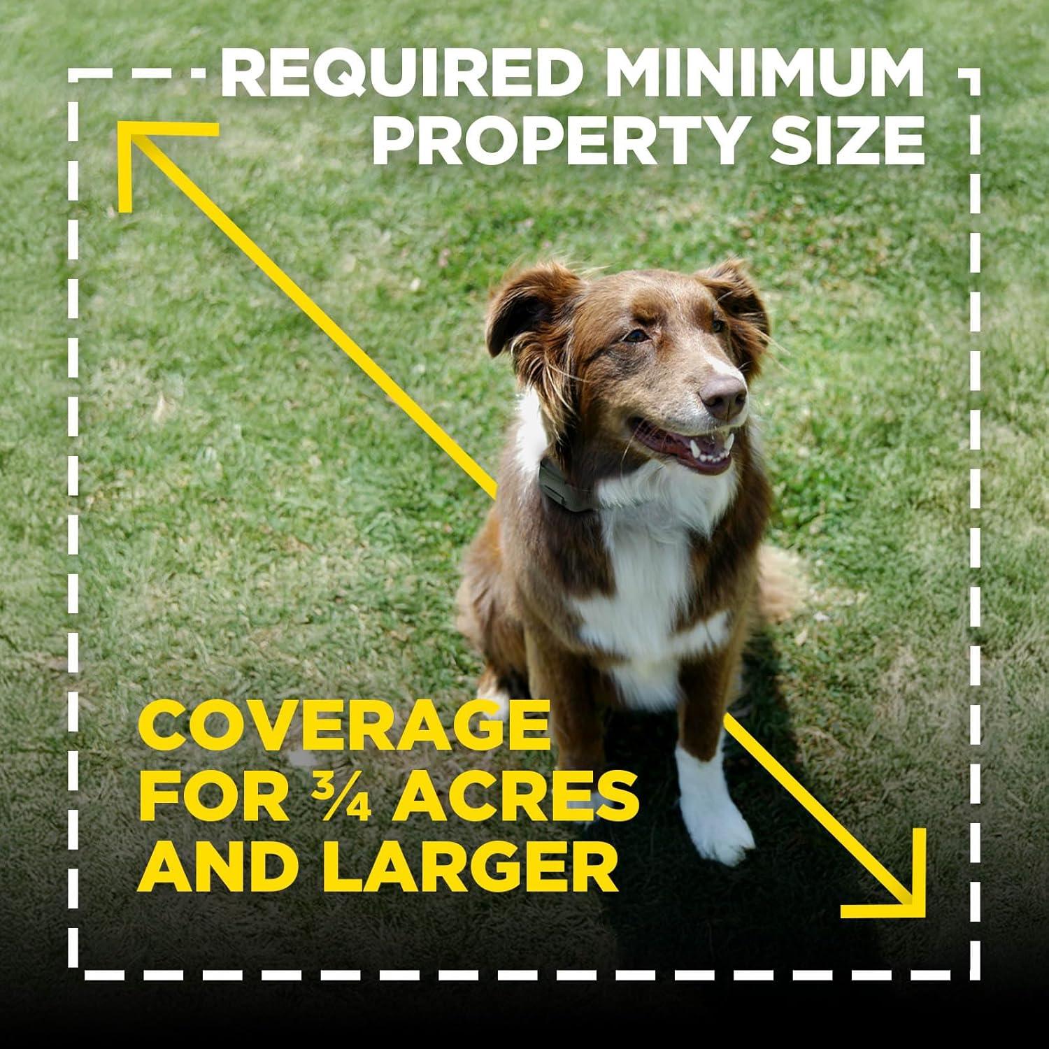 Banderas de Entrenamiento Dogtra para Cerca GPS - 50 Unidades Naranja