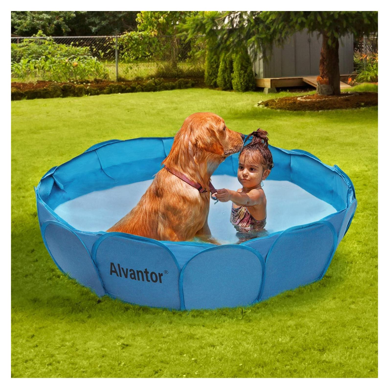Piscina para Perros Alvantor 106.68cm x 30.48cm Plegable
