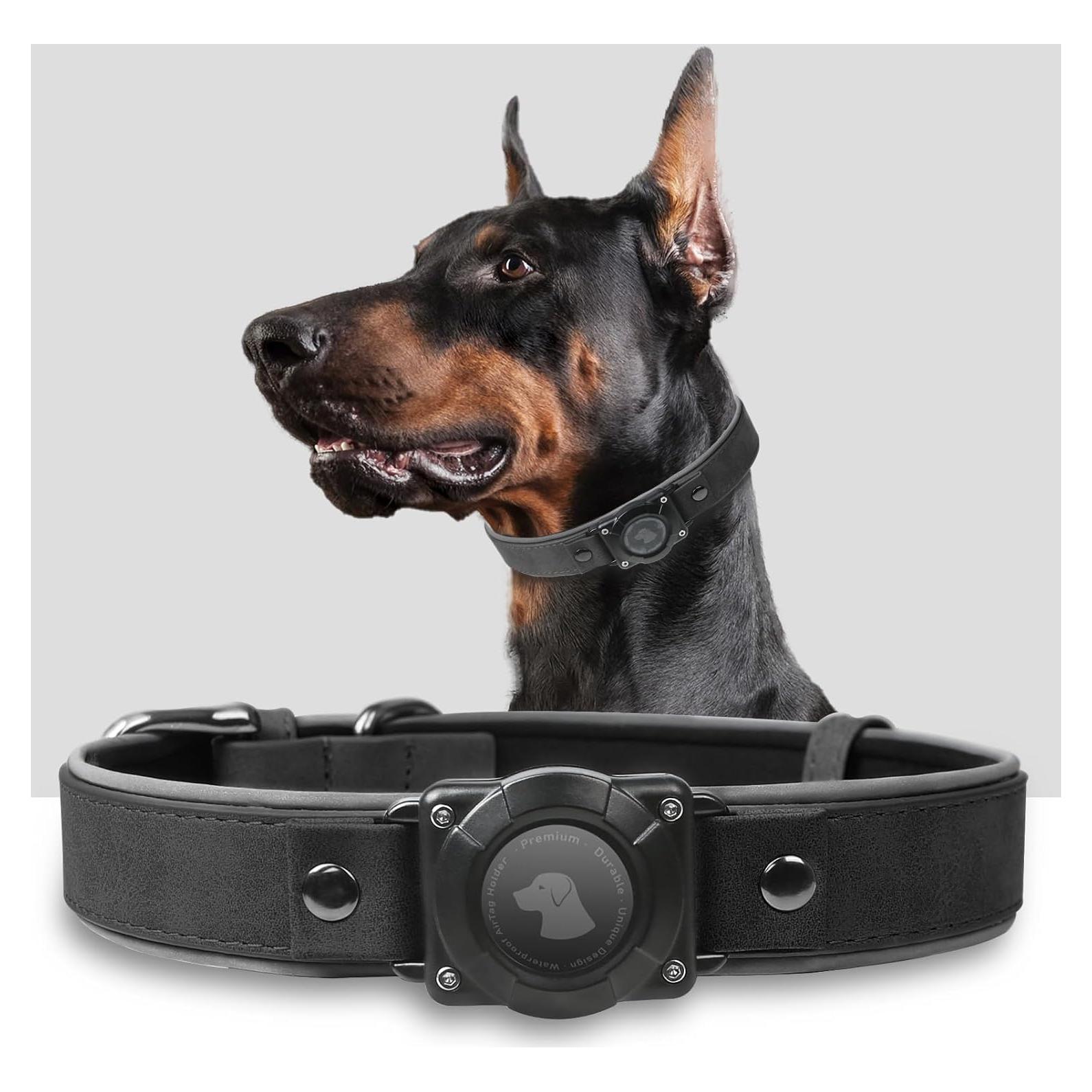 Collar para Perro Odokele con Soporte AirTag - Impermeable M