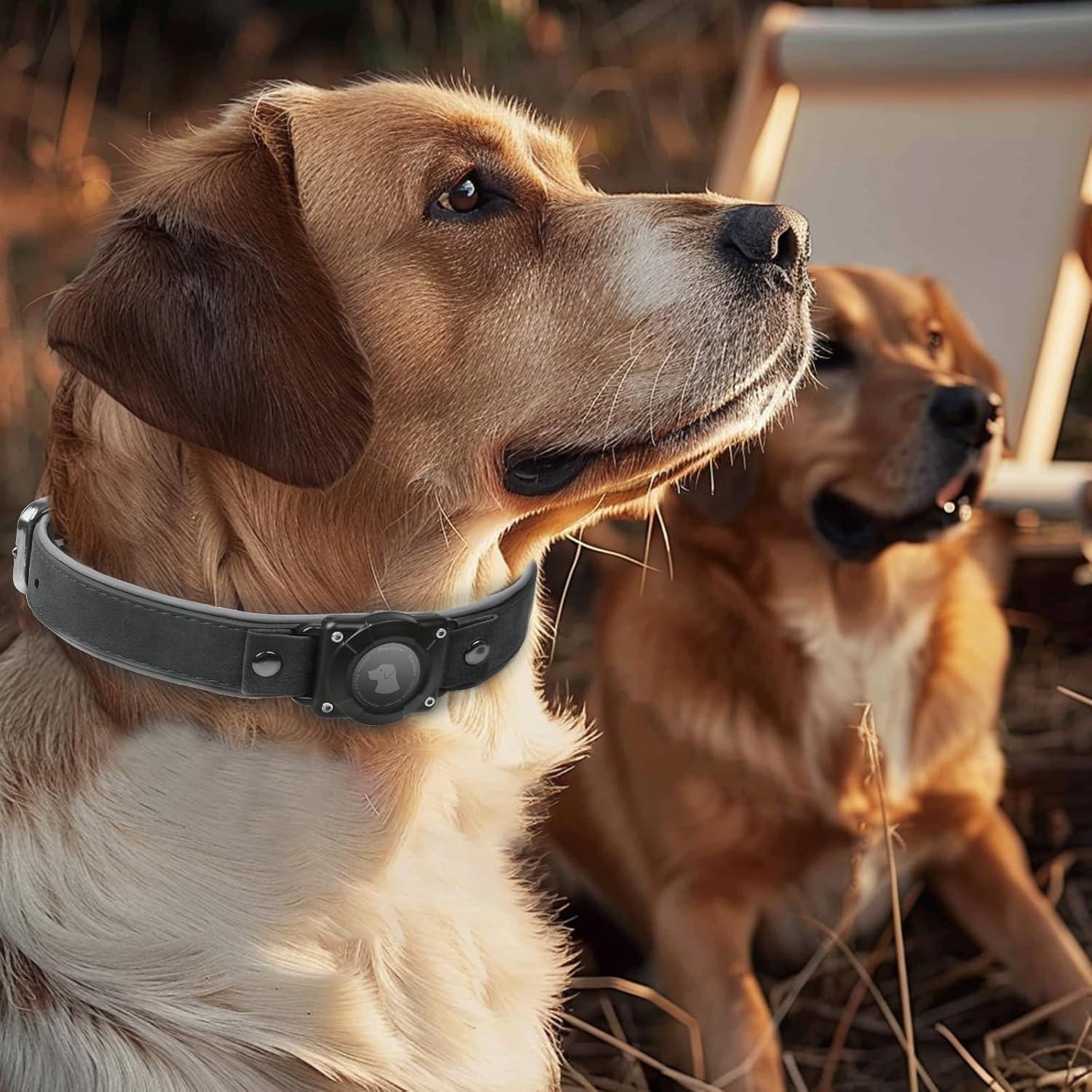 Collar para Perro Odokele con Soporte AirTag - Impermeable M