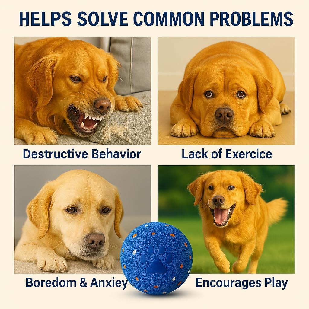 Bola Interactiva para Perros Jujing Wicked Ball AIR 22cm