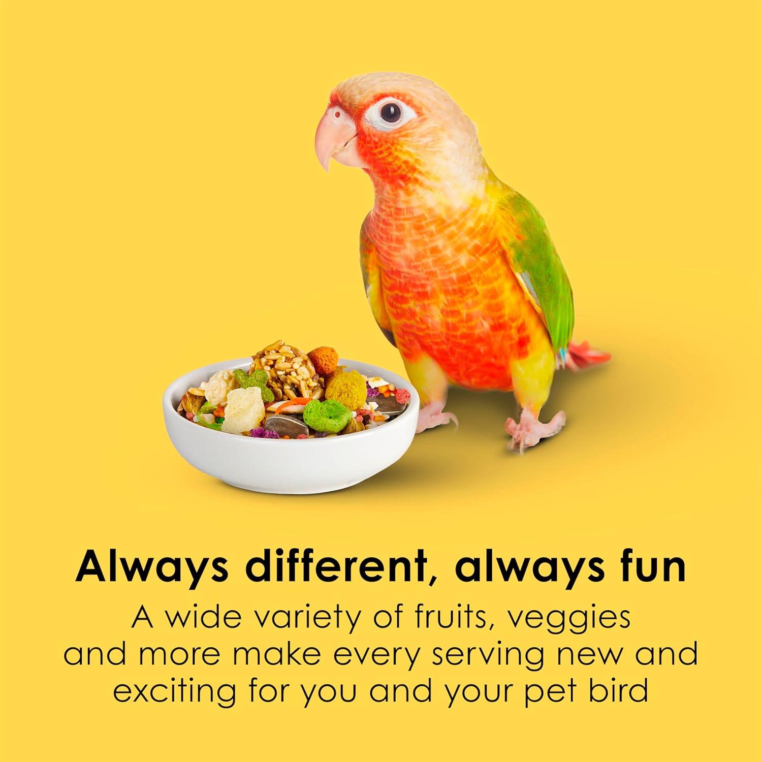 Comida para Conures Kaytee Fiesta 2.04 kg - Nutrición Completa