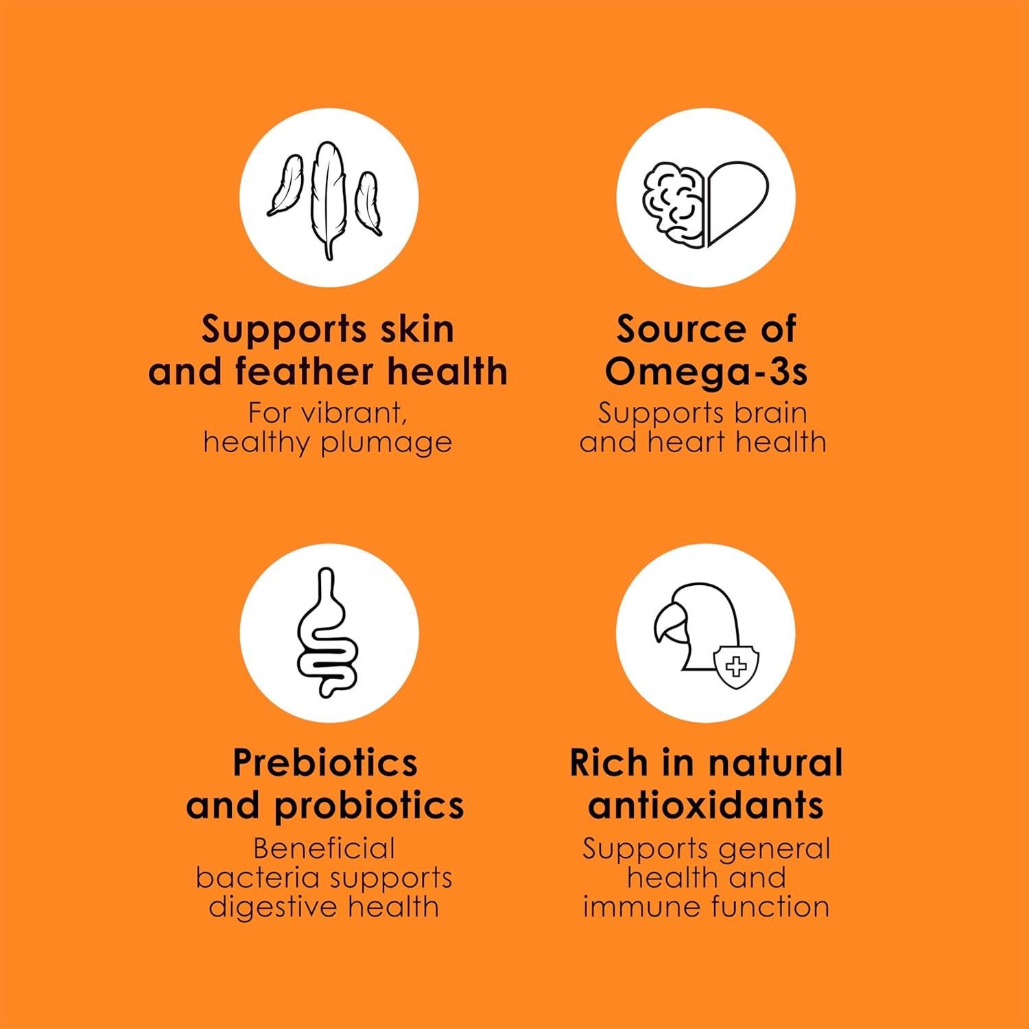 Comida para Conures Kaytee Fiesta 2.04 kg - Nutrición Completa