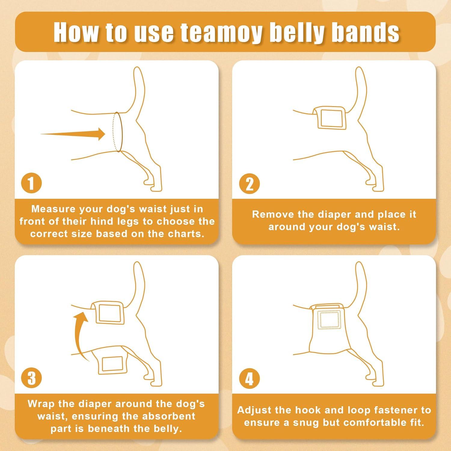 Paquete de 3 Pañales Reutilizables para Perros Machos Teamoy - XS