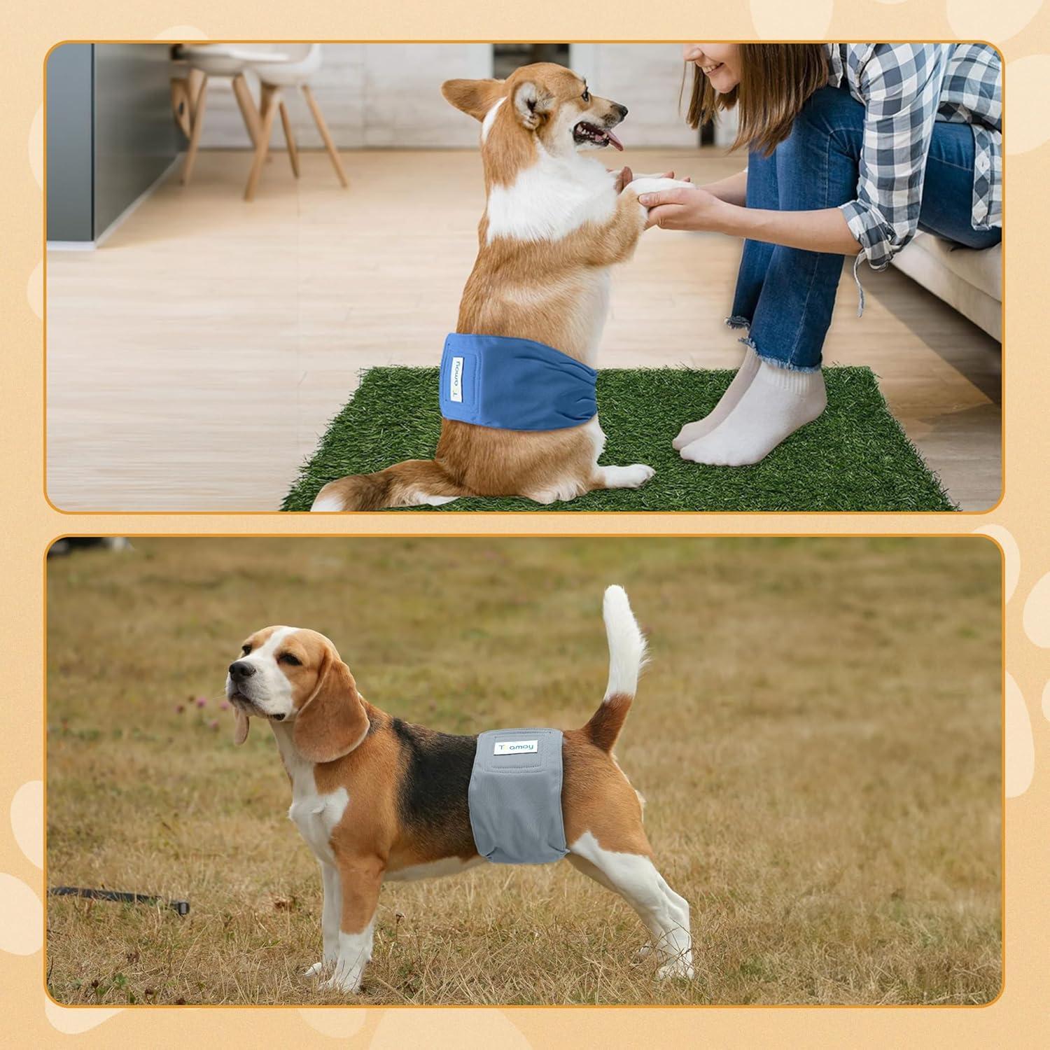 Paquete de 3 Pañales Reutilizables para Perros Machos Teamoy - XS