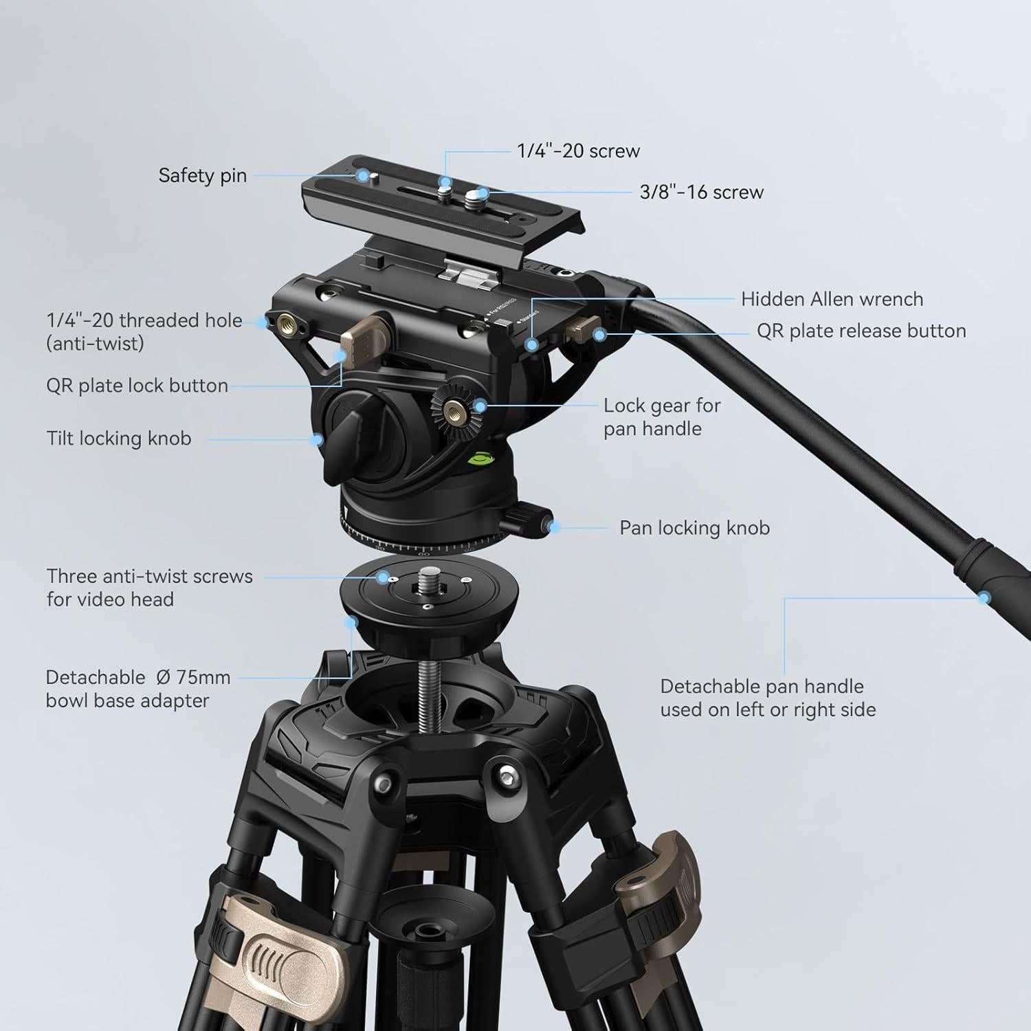 AD-80 FreeBlazer Heavy-Duty Video Tripod System, 75" Tall, Fluid Head, One-Step Height Adjust, Dual-Mode QR Plate, Load up to 17lbs, Professional Tripod for Camera