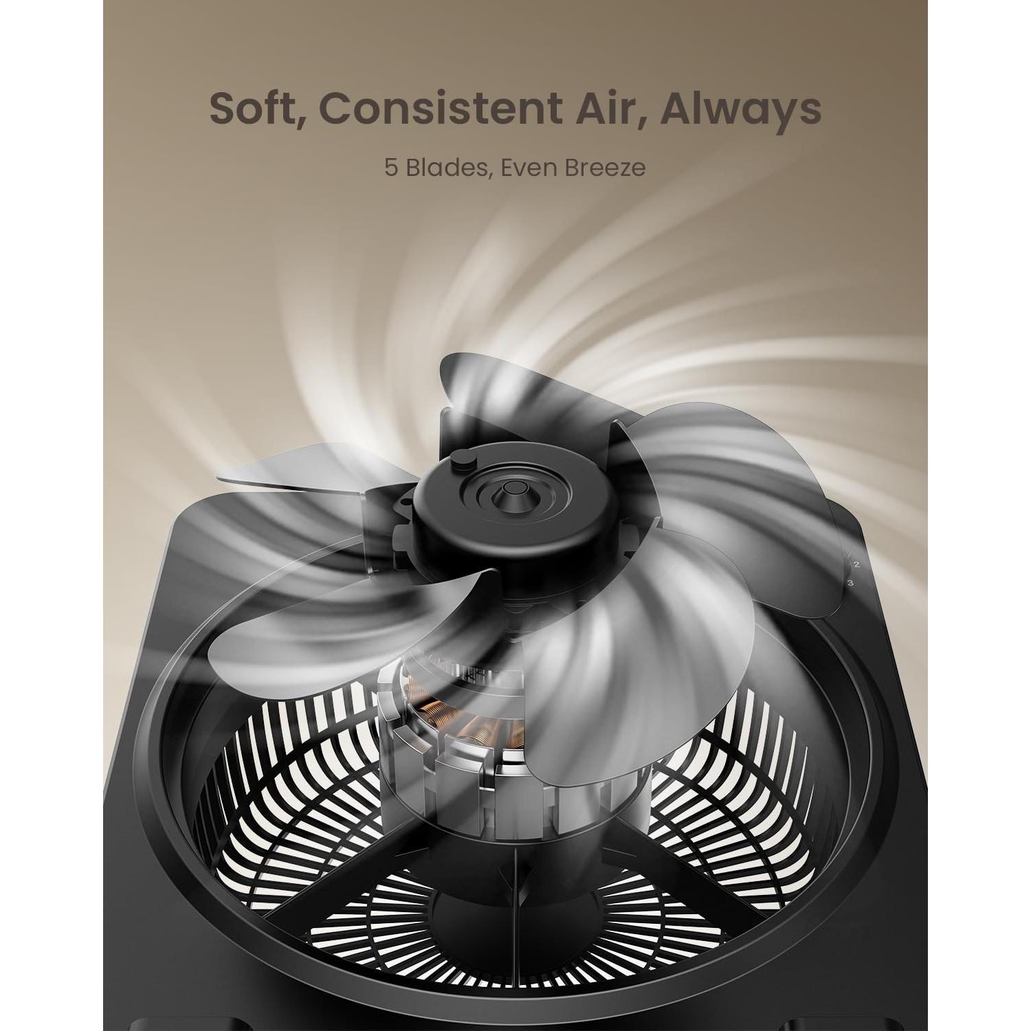 Ventilador de Mesa PNTCK FB2501T2 35.56 cm 3 Velocidades Silencioso