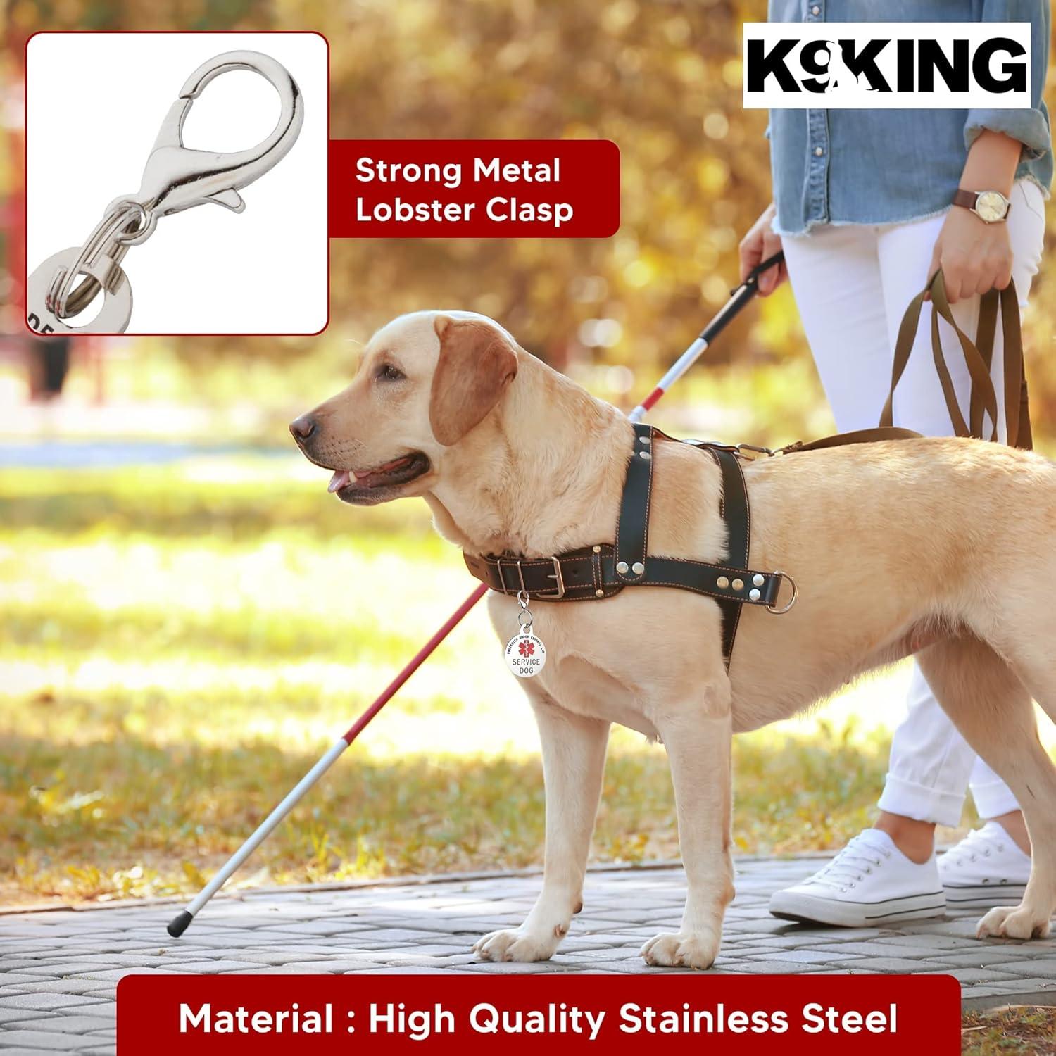 Etiqueta de Identificación para Perro de Servicio K9King - 2.54 cm