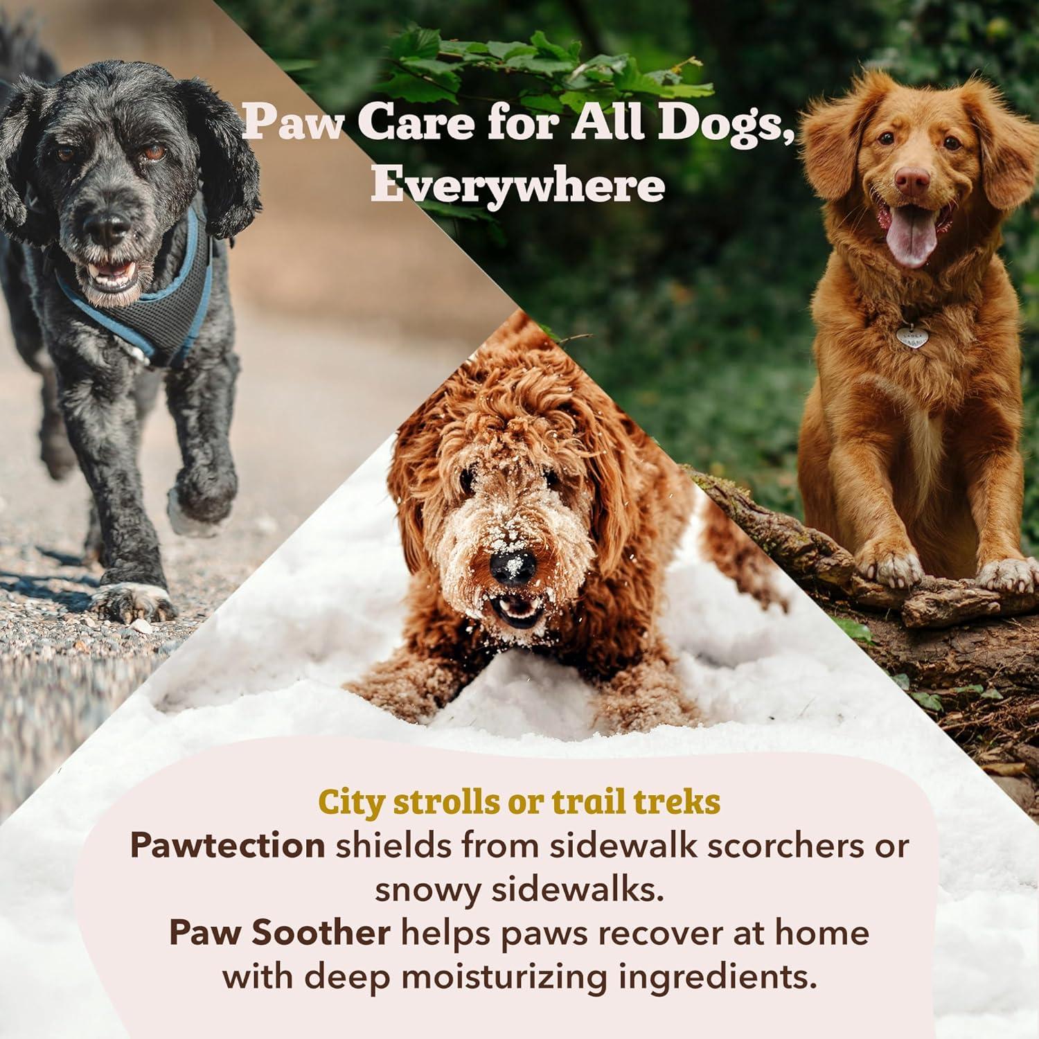 Bálsamo para Patas Natural Dog Company 28.35 g - Hidratante