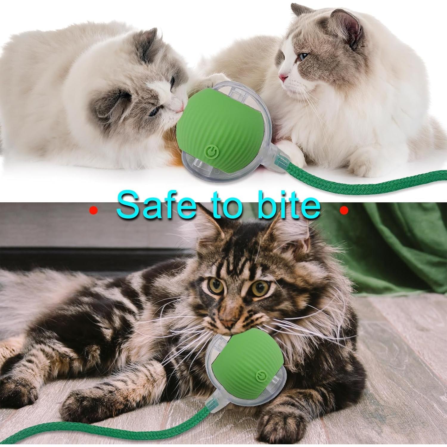Bola Interactiva para Gatos y Perros Hetuyon Verde 5.8cm