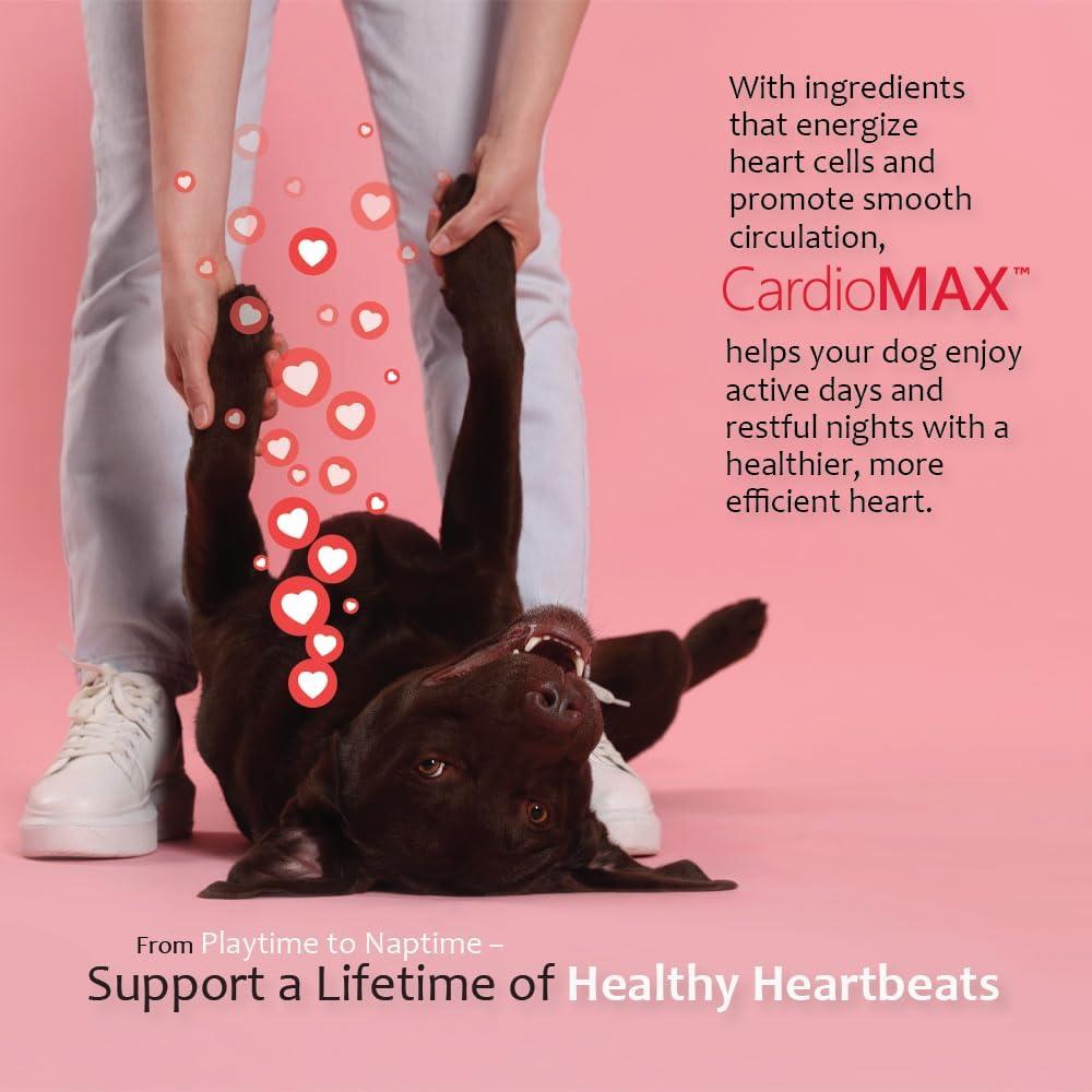 Suplemento CardioMax para Perros - 60 Masticables Blandos