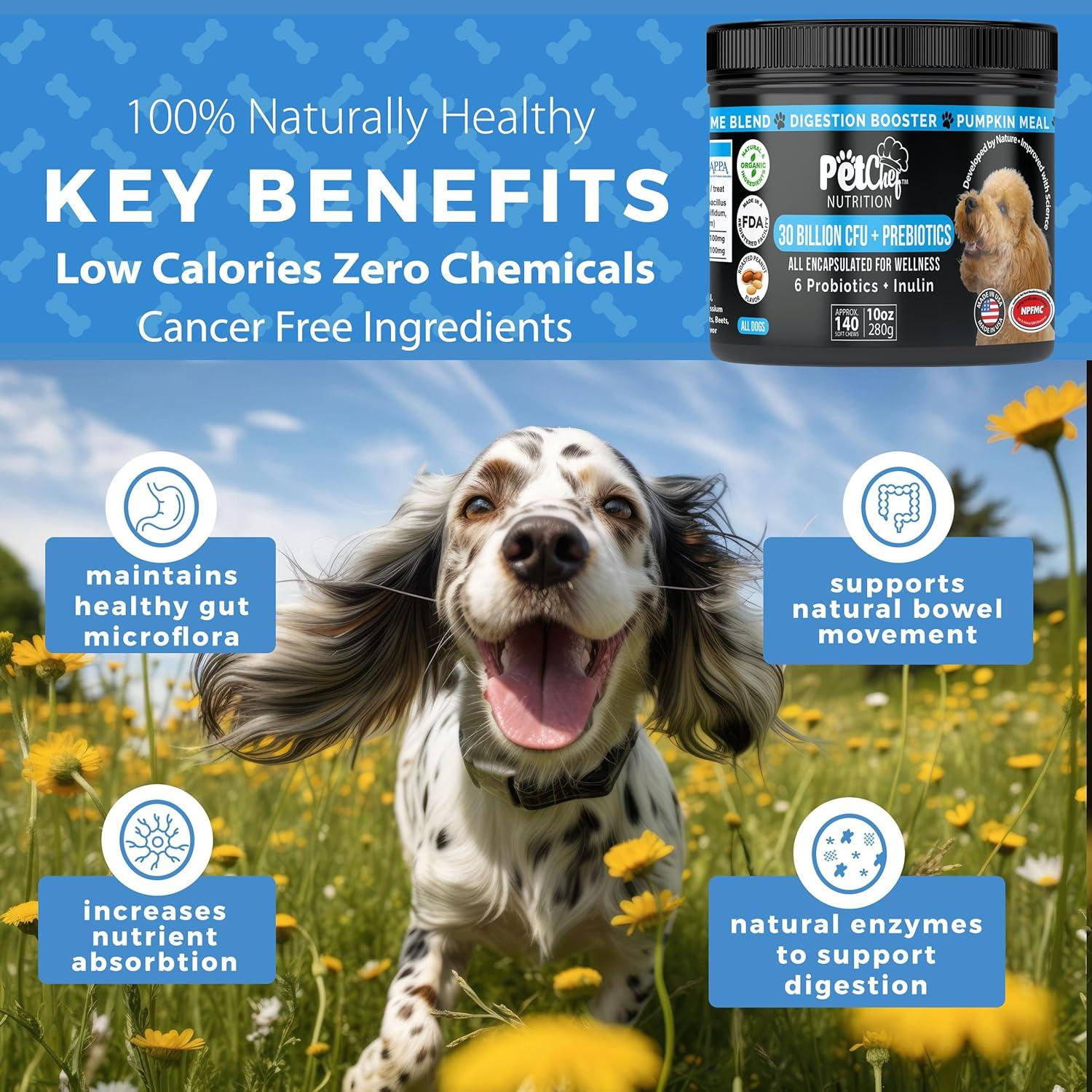 Probioticos Caninos Pet Chef - Salud Digestiva y Bienestar