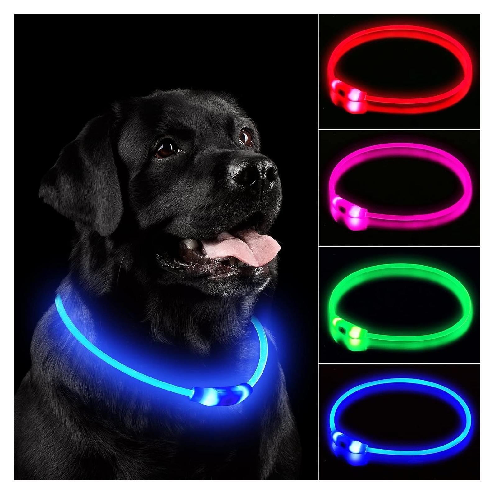 Collar de Perro LED NOVKIN Recargable Impermeable Ajustable