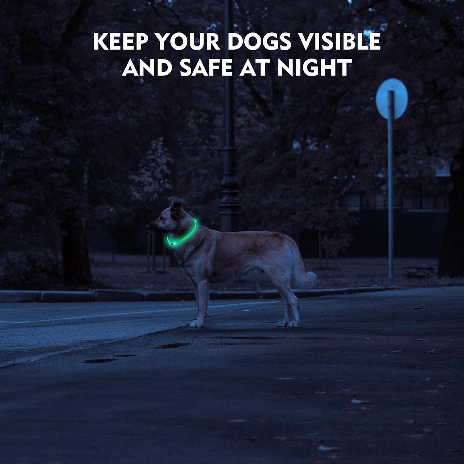 Collar de Perro LED NOVKIN Recargable Impermeable Ajustable
