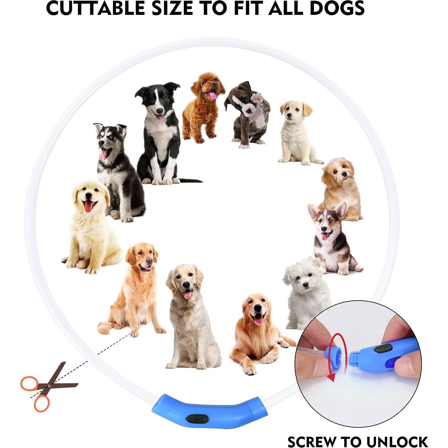 Collar de Perro LED NOVKIN Recargable Impermeable Ajustable