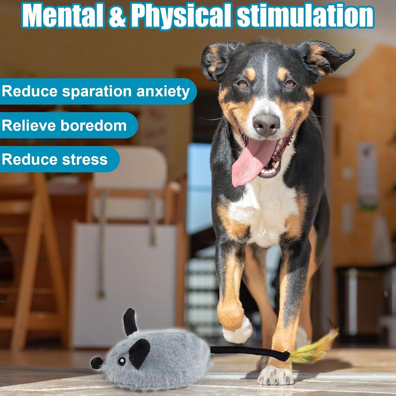 Juguete Interactivo para Perros Mity Rain Ratón Squeaky