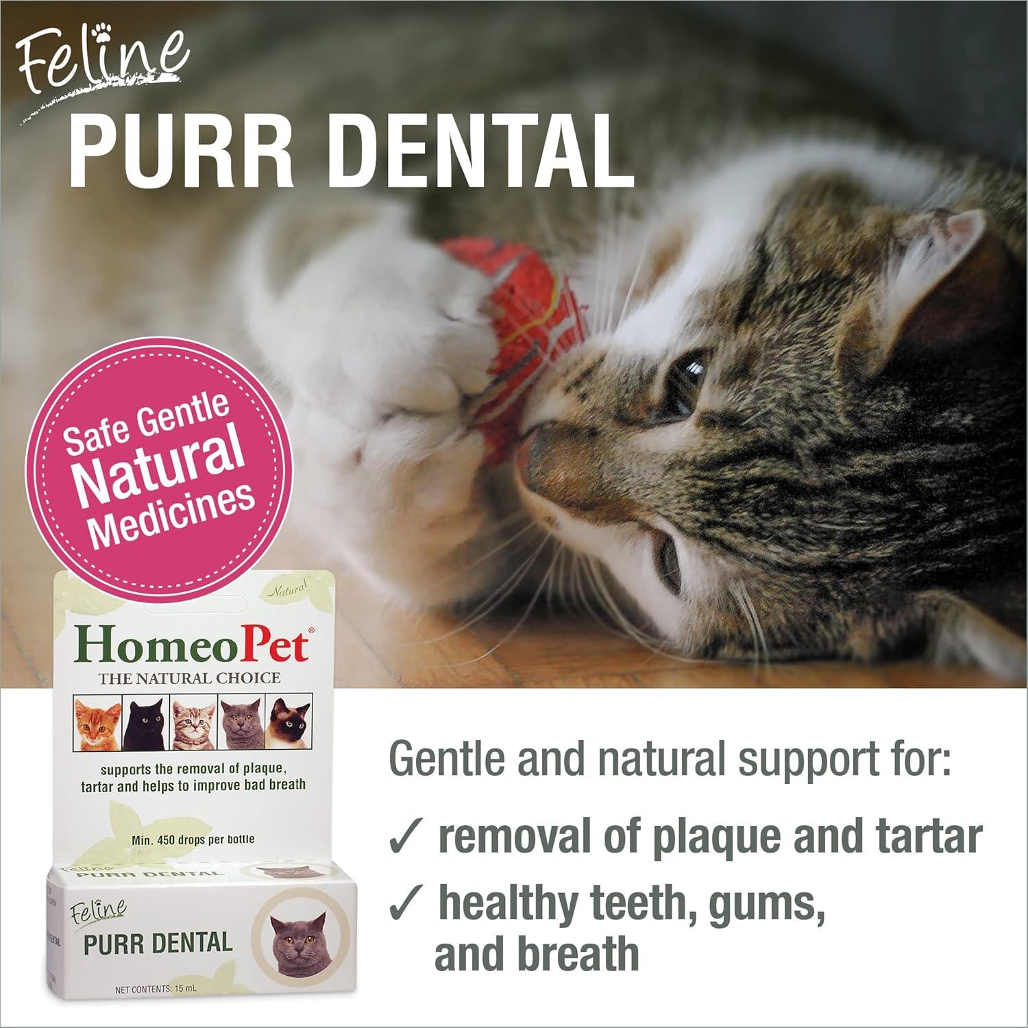 HomeoPet Feline Purr Dental 15mL - Cuidado Dental Natural para Gatos
