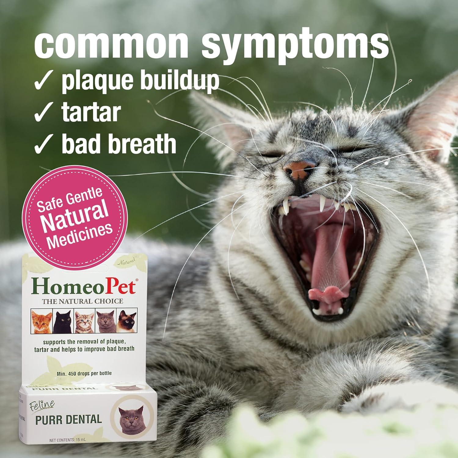 HomeoPet Feline Purr Dental 15mL - Cuidado Dental Natural para Gatos
