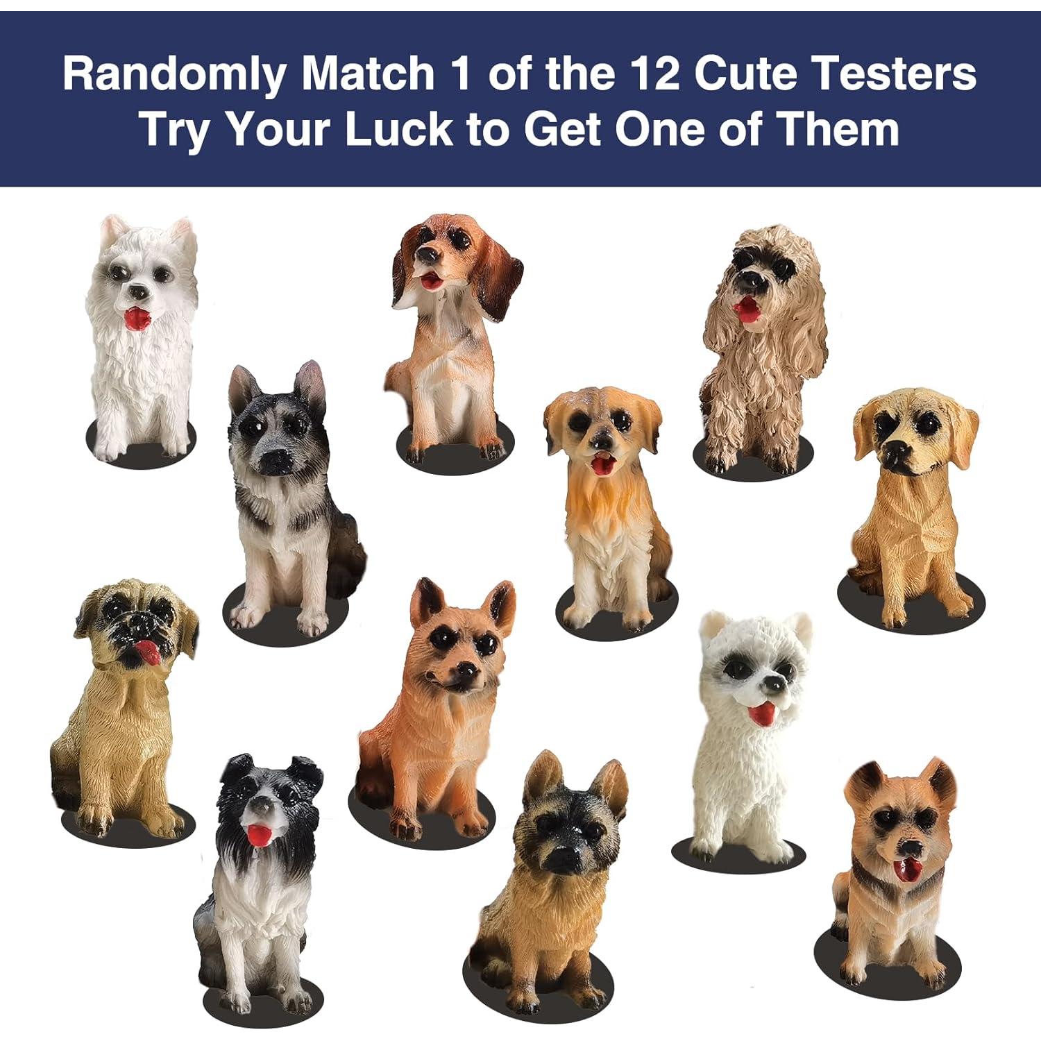 Alfombra de Choque PAPARELA 56x36cm para Entrenamiento de Mascotas