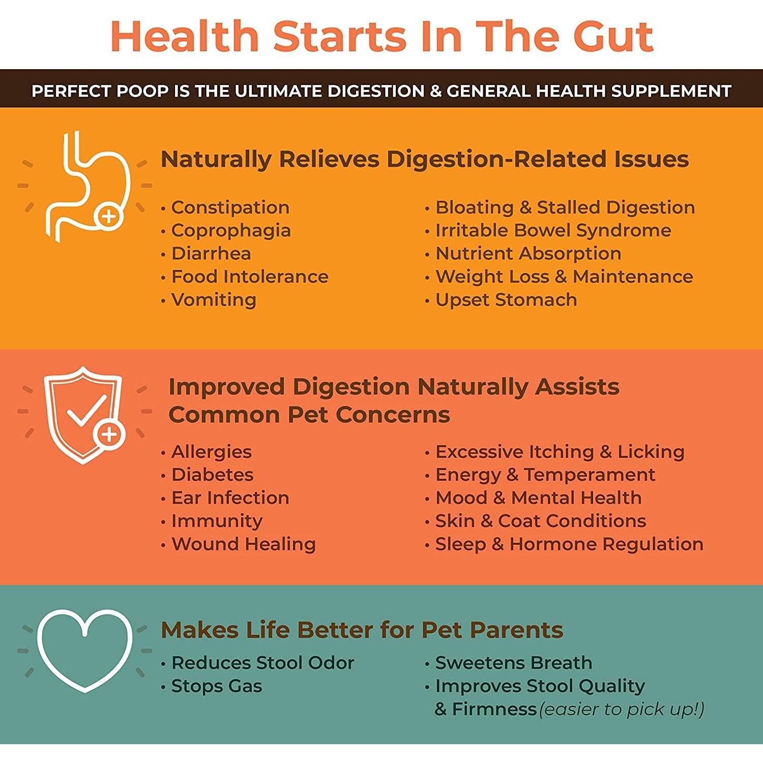 Suplemento Digestivo para Perros Bernie 240g - Fibra y Probioticos