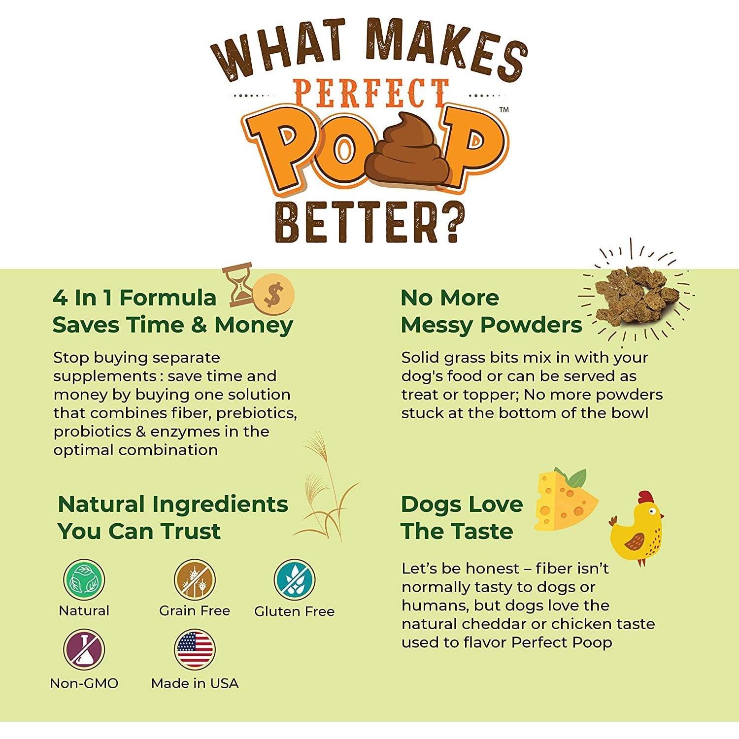 Suplemento Digestivo para Perros Bernie 240g - Fibra y Probioticos