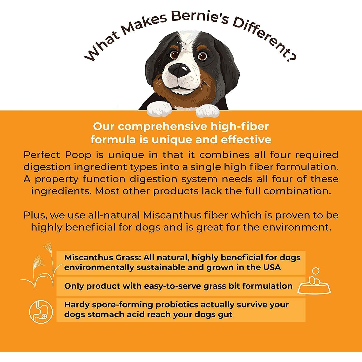 Suplemento Digestivo para Perros Bernie 240g - Fibra y Probioticos