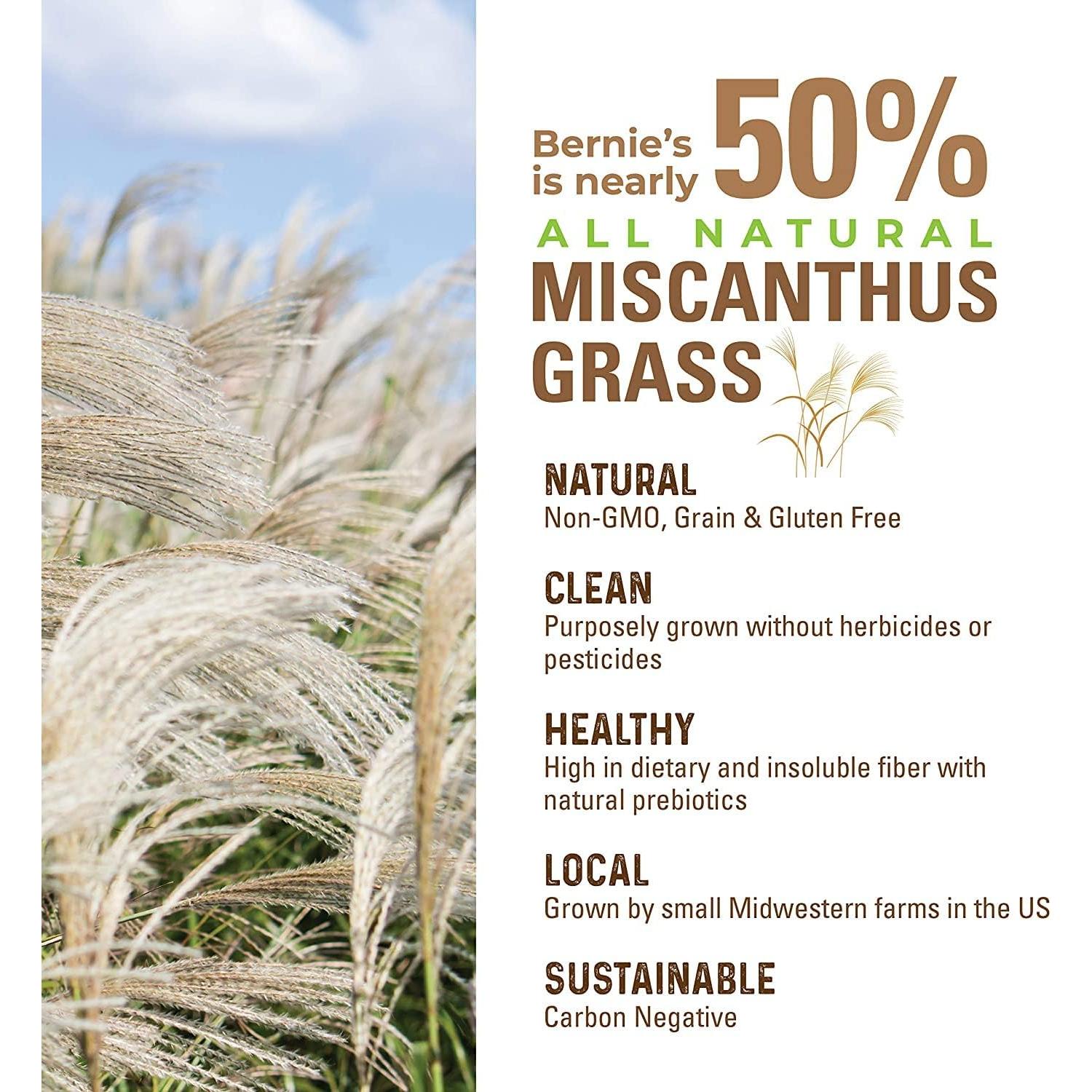 Suplemento Digestivo para Perros Bernie 240g - Fibra y Probioticos