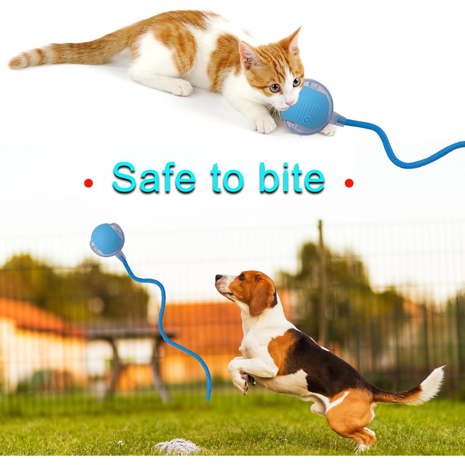 Bola de Juguete Interactiva AebDerp para Gato y Perro Azul