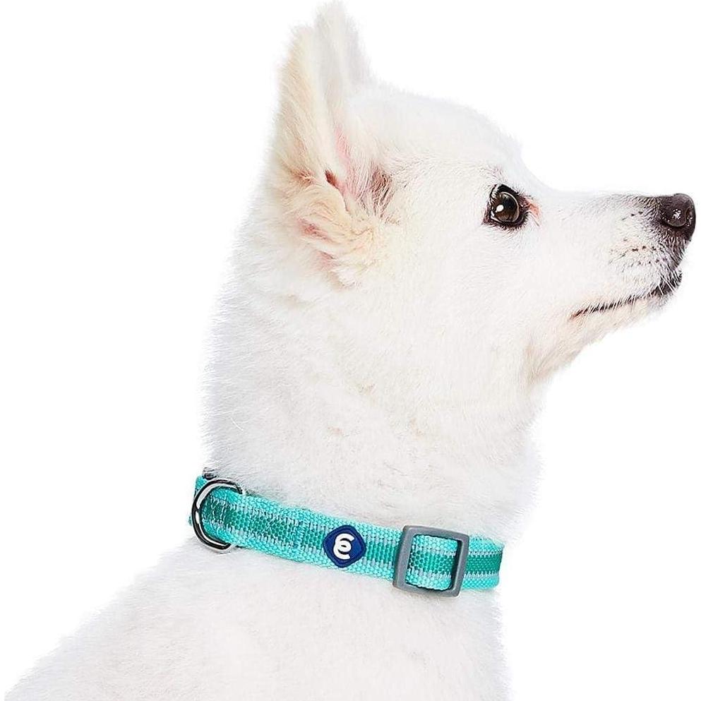 Collar Reflectante Verde Menta para Perro Pequeño Blueberry Pet