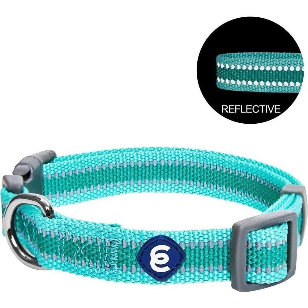 Collar Reflectante Verde Menta para Perro Pequeño Blueberry Pet