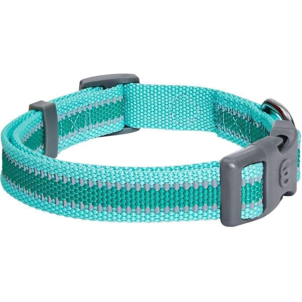 Collar Reflectante Verde Menta para Perro Pequeño Blueberry Pet
