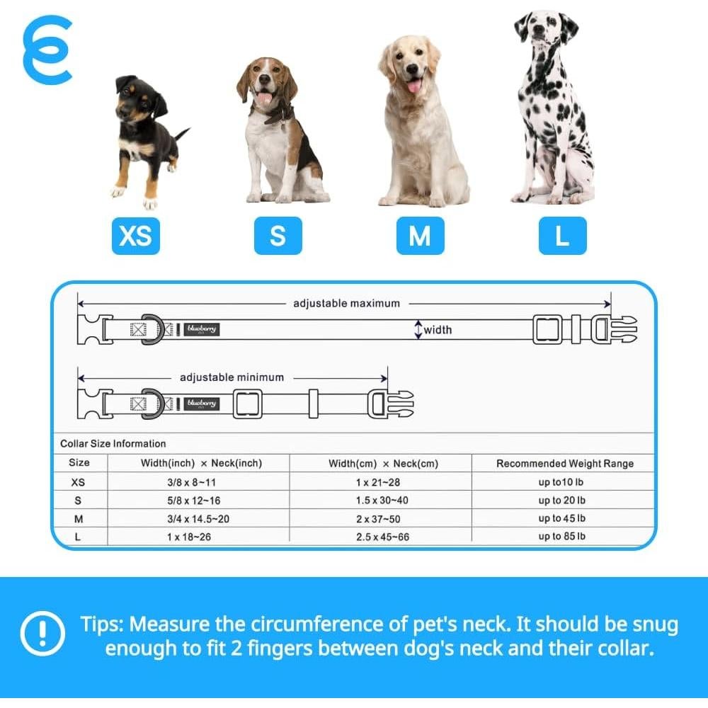 Collar Reflectante Verde Menta para Perro Pequeño Blueberry Pet