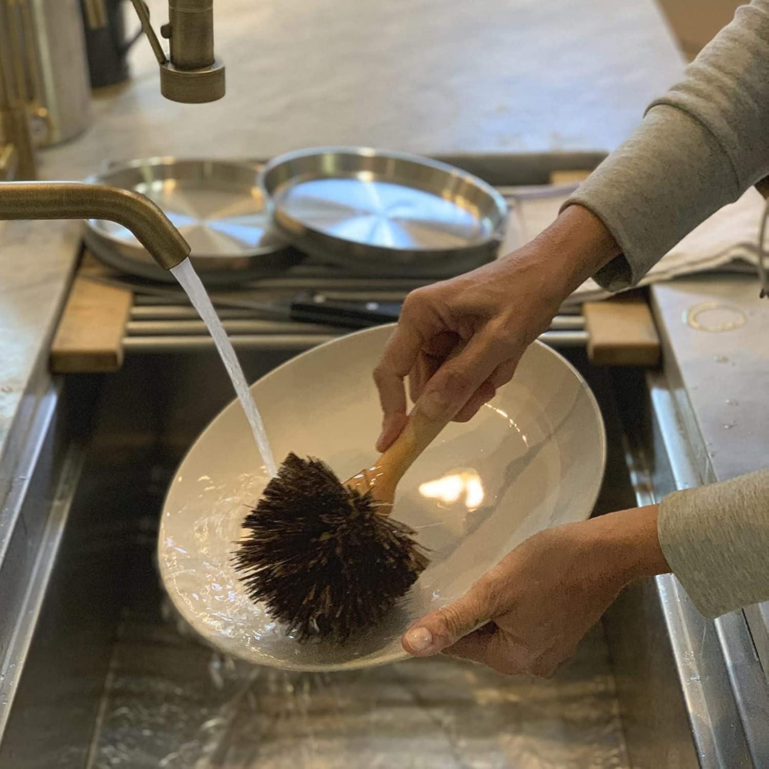 Cepillo de Cocina Fox Run 22.2 cm con Cerdas de Bassine