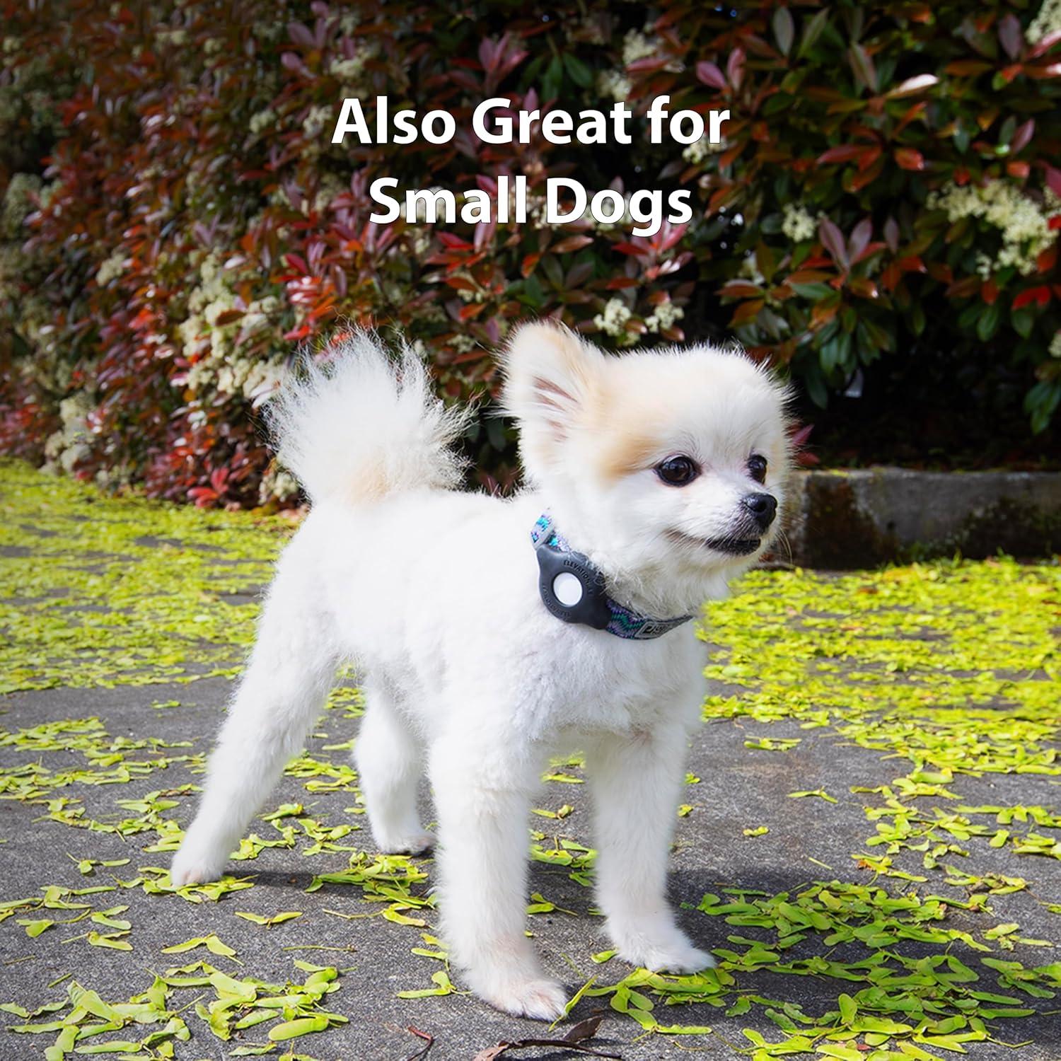 Soporte para Collar de Gato AirTag Elevation Lab - Paquete de 2