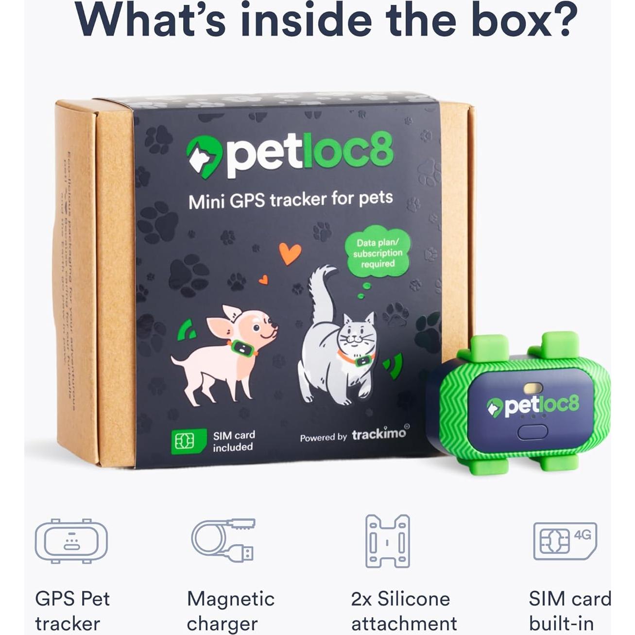 Rastreador GPS para Gatos Petloc8 - Impermeable, 4G, Ligero