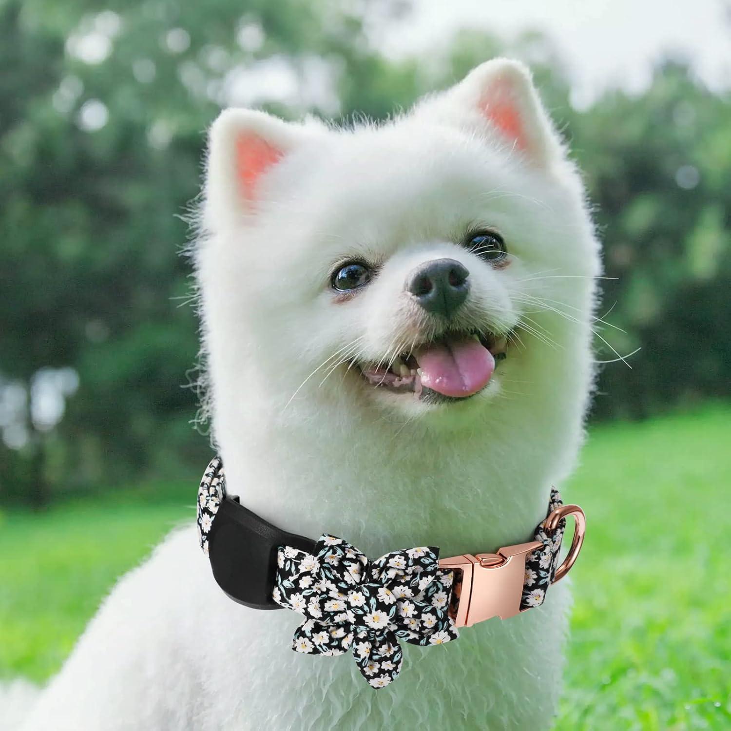 Soporte Antipérdida para Collar de Perro Gokotta Negro