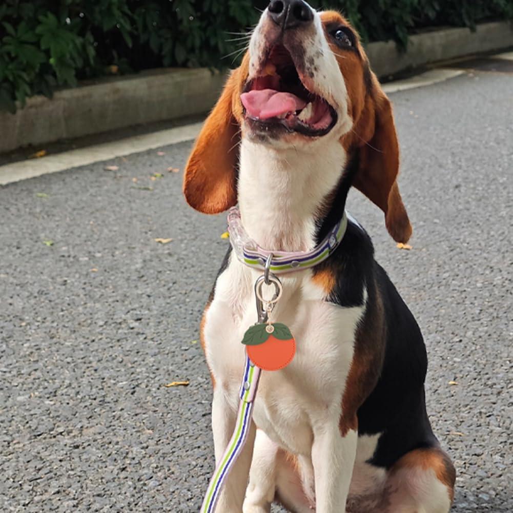 Llavero Fruta Naranja SOFPLATE con Funda AirTag de Cuero PU