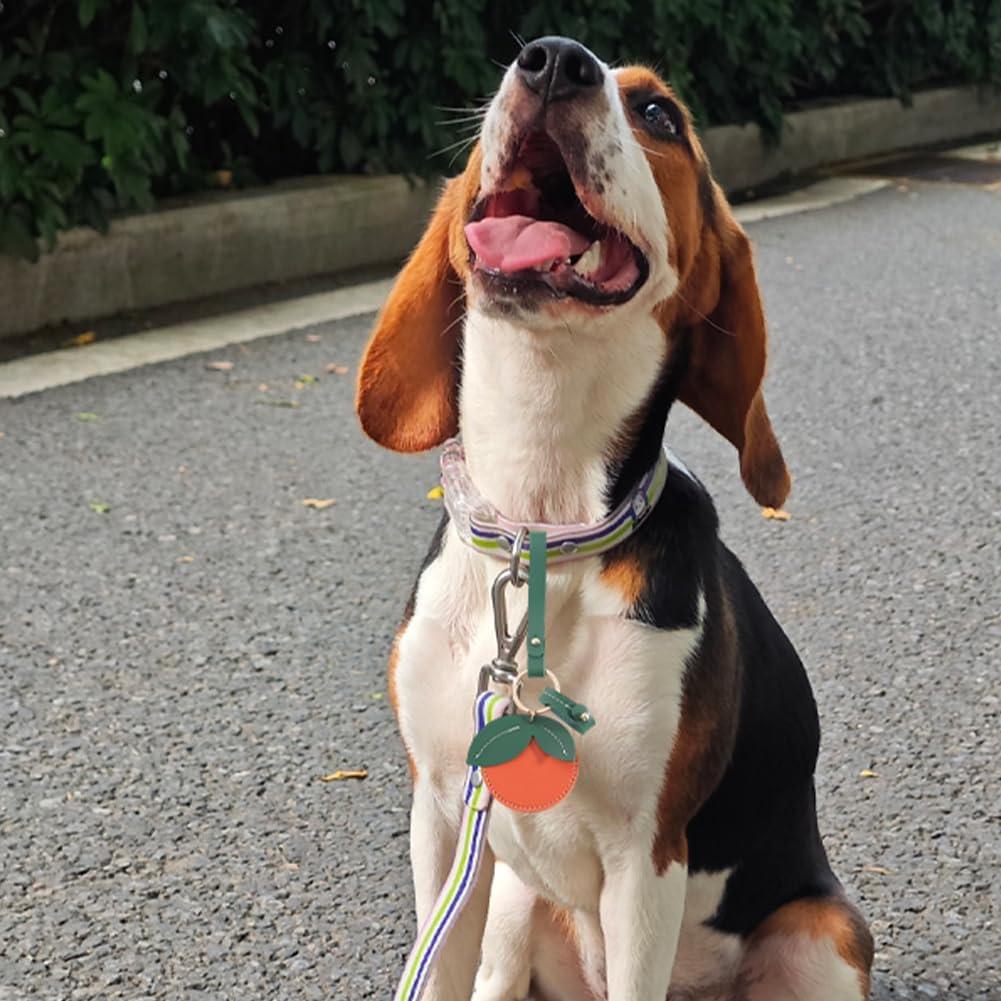 Soporte de Airtag de Fruta SOFPLATE Mandarina Chocolate