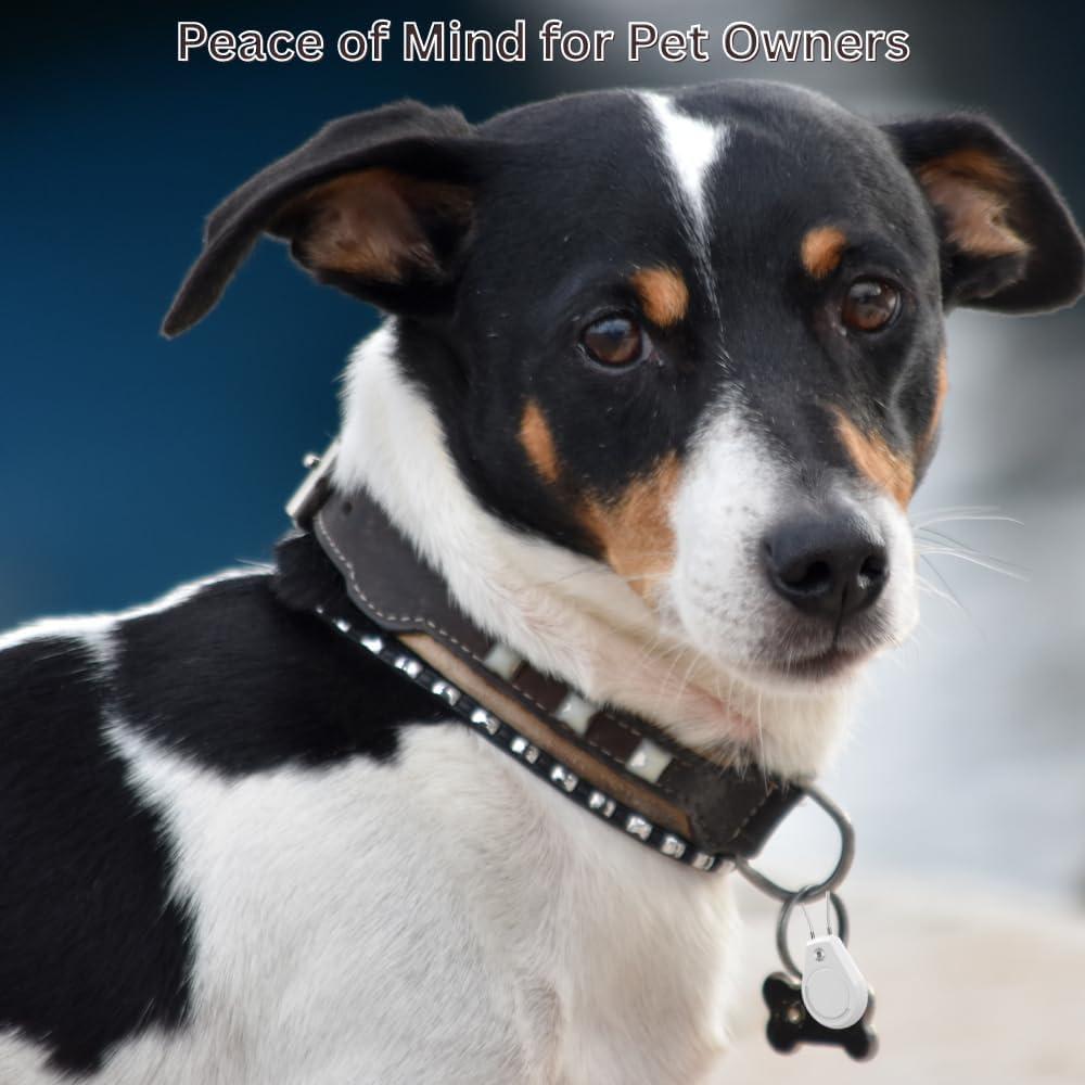 Paquete de 4 Fundas Impermeables para Air Tags ClipGrip