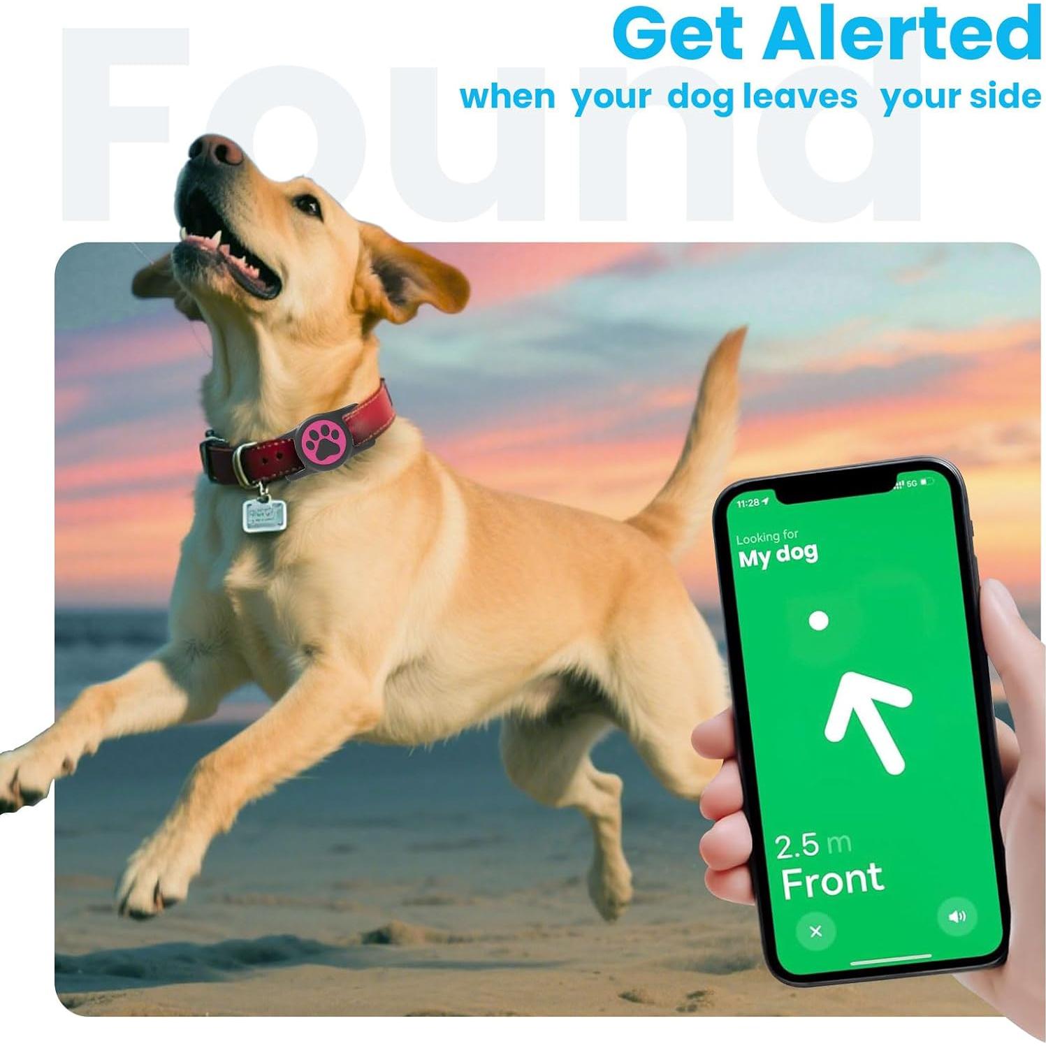 Soporte para Collar de Perro Airtag QRTagLab Impermeable