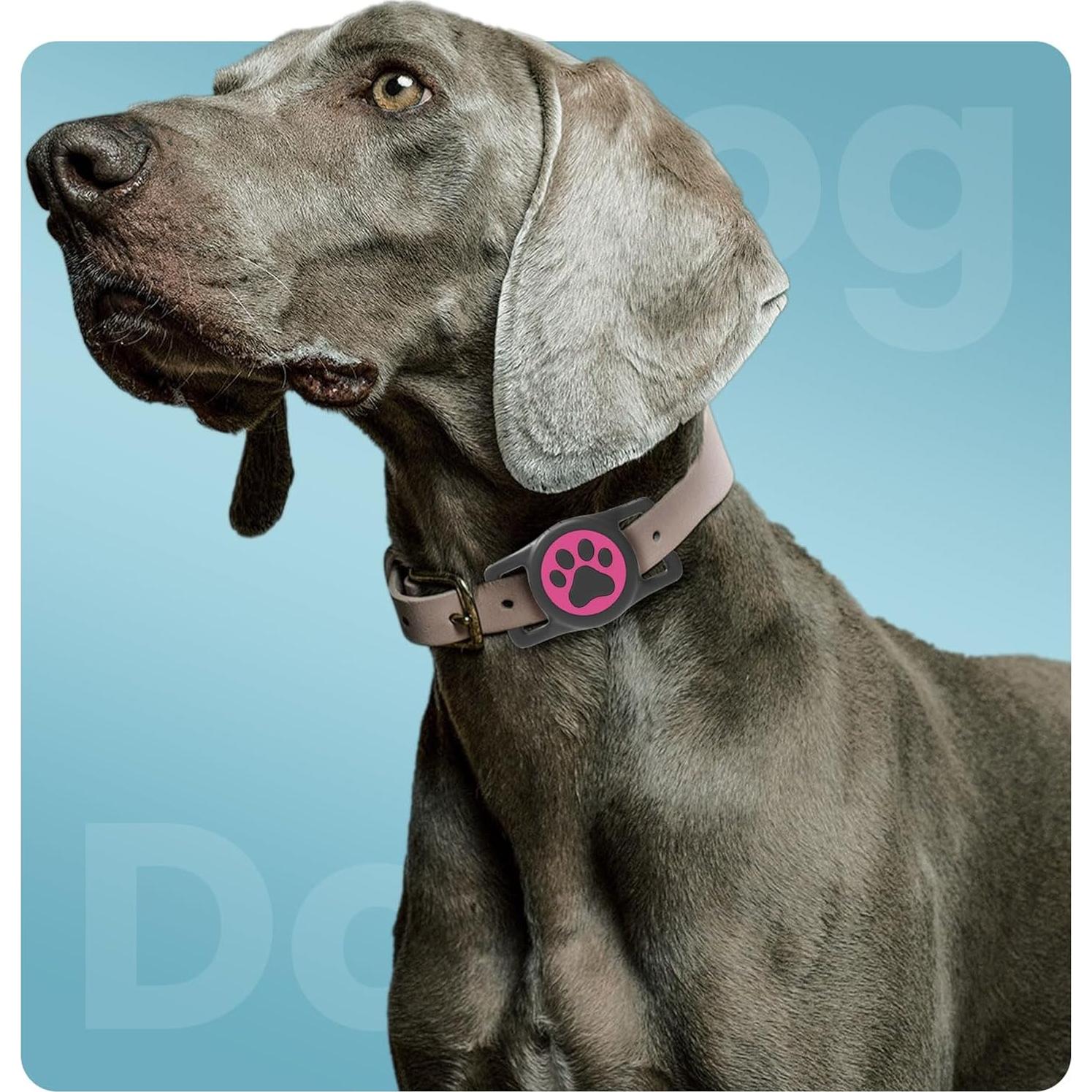 Soporte para Collar de Perro Airtag QRTagLab Impermeable