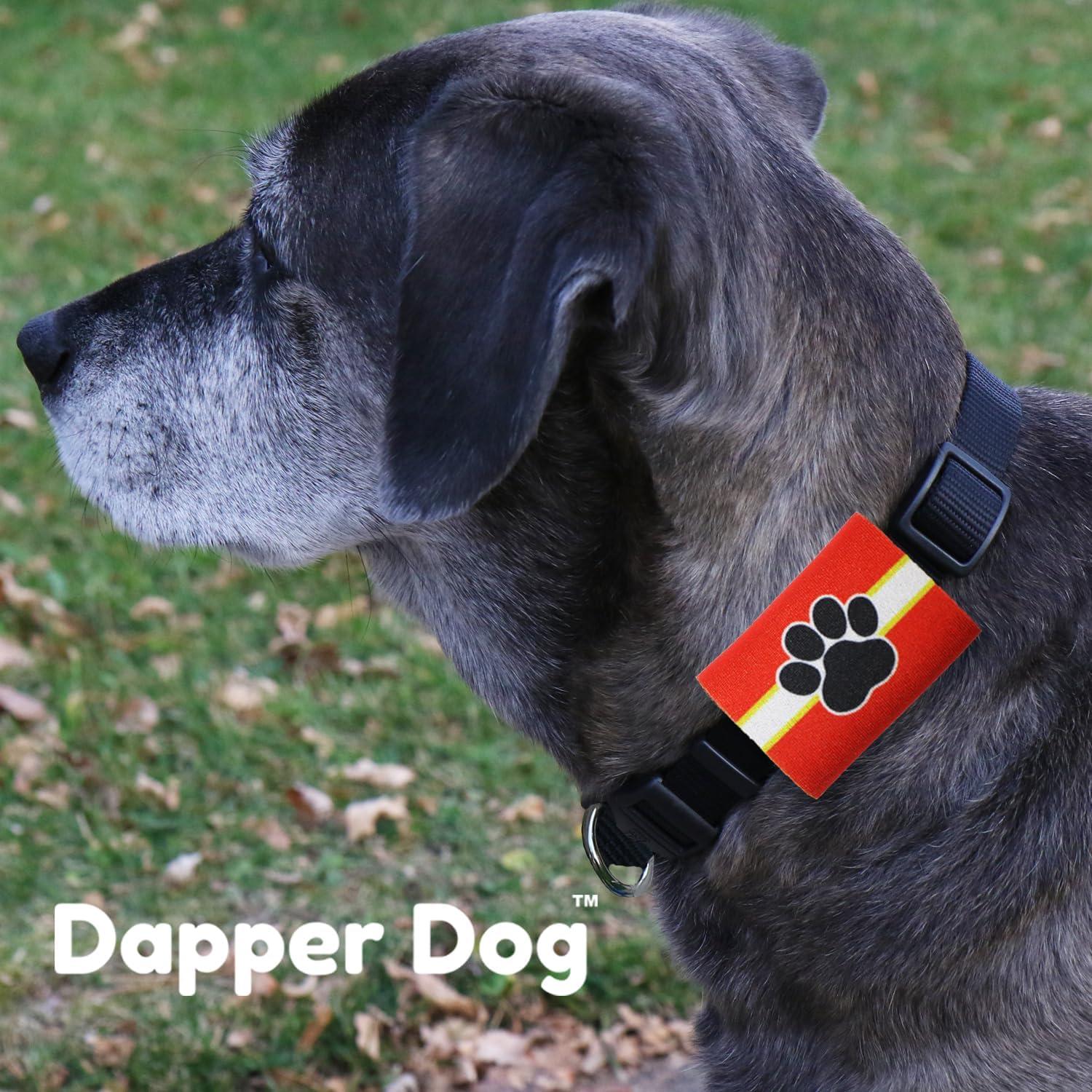 Silenciador de Etiquetas para Mascotas SilenTags - Neopreno