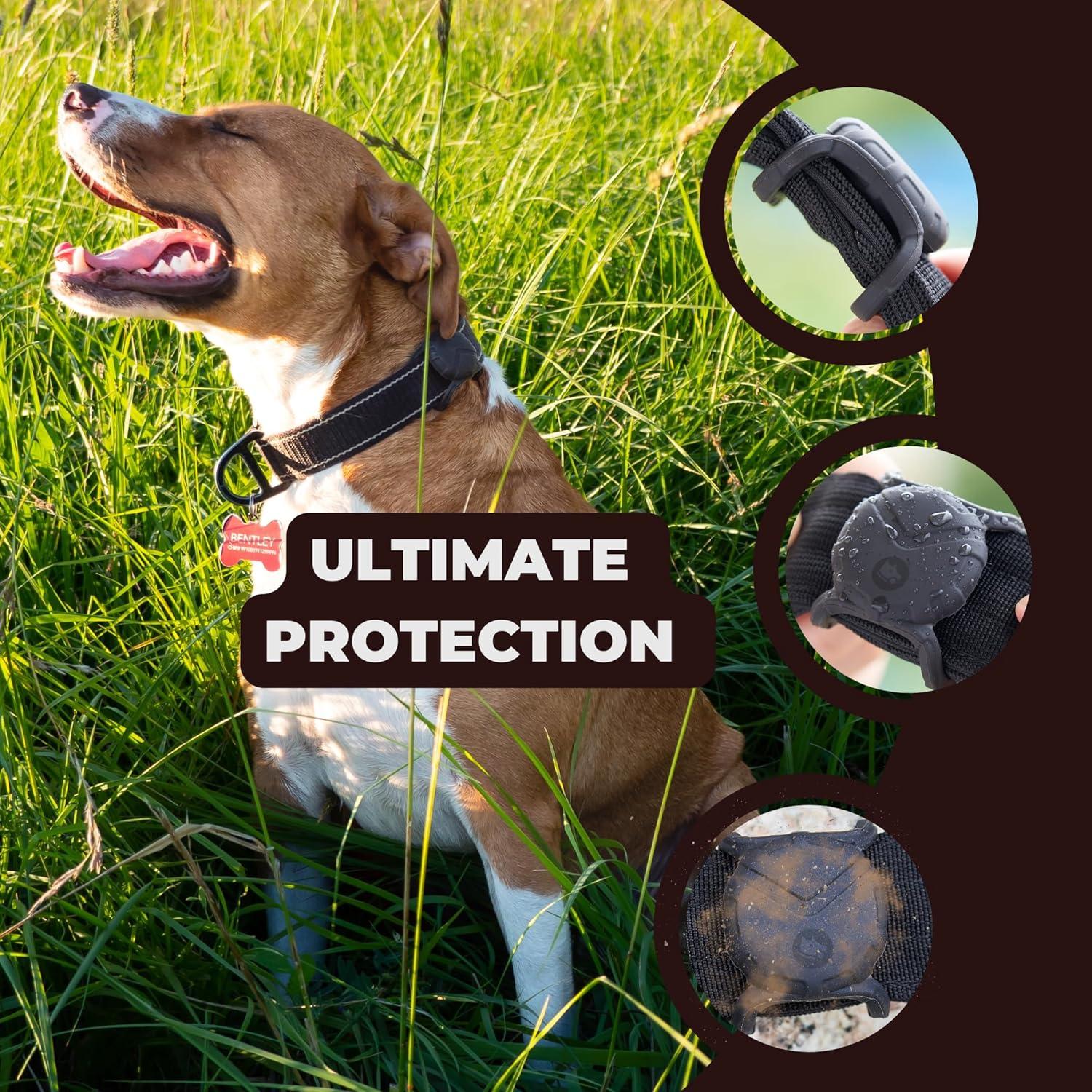 Soporte de Collar de Perro Fossa para Air Tag Grado Militar