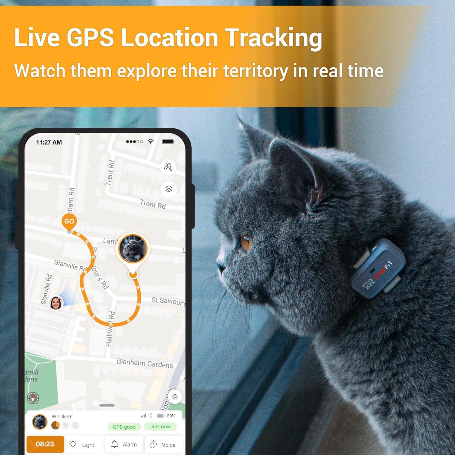 Rastreador GPS para Gatos Pawfit Lite | Seguimiento 4G | Gris