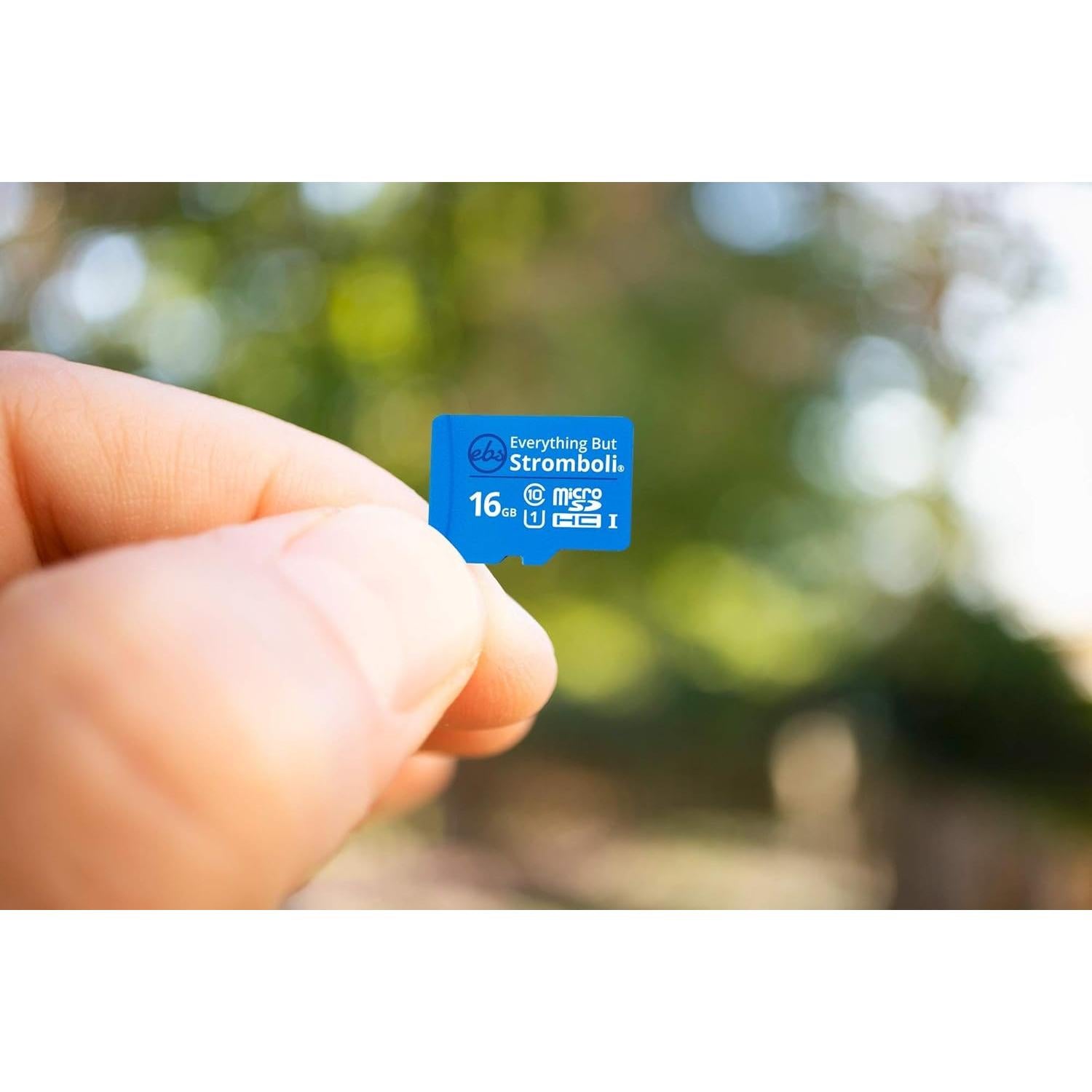 Paquete de 5 Tarjetas MicroSD 16GB Todo Menos Stromboli Clase 10