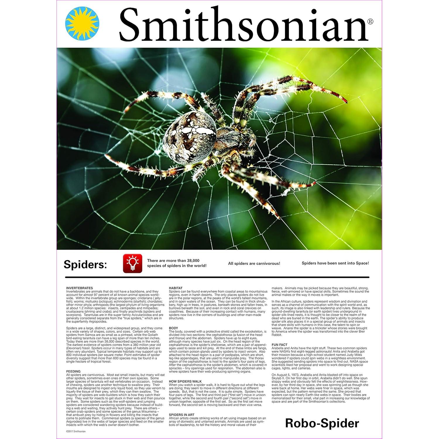 Kit Araña Robot Smithsonian 64 Piezas Motorizado STEM