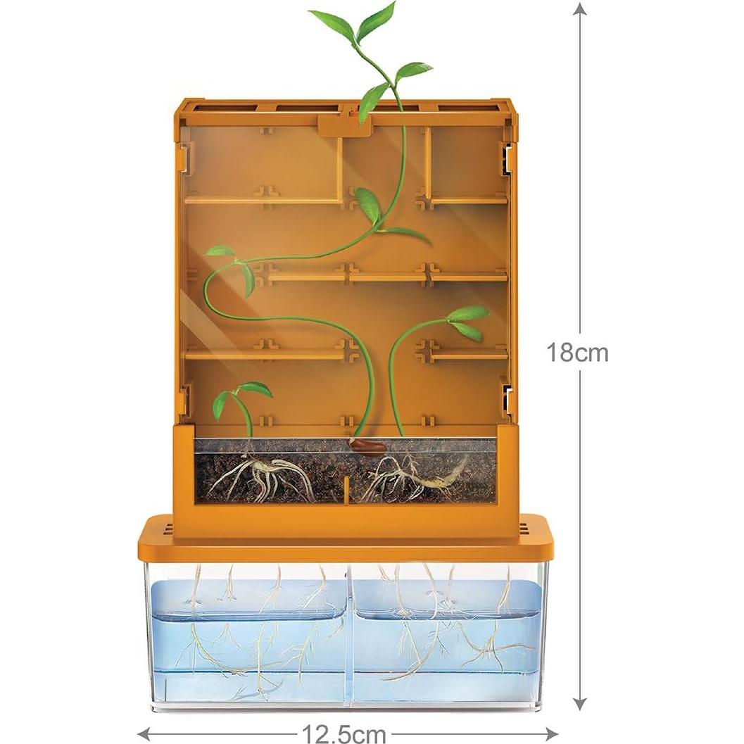 Kit Laberinto de Plantas 4M Green Science 12.7x10.16cm