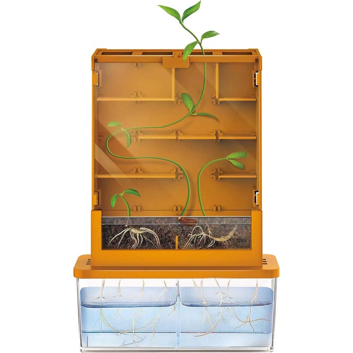 Kit Laberinto de Plantas 4M Green Science 12.7x10.16cm