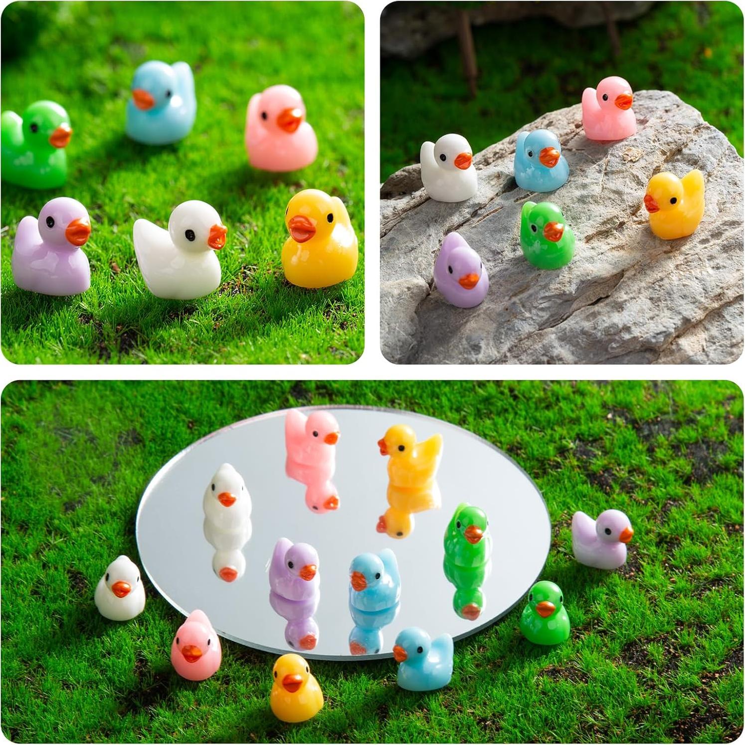 150 Mini Patos de Resina para Jardín de Hadas y Acuario
