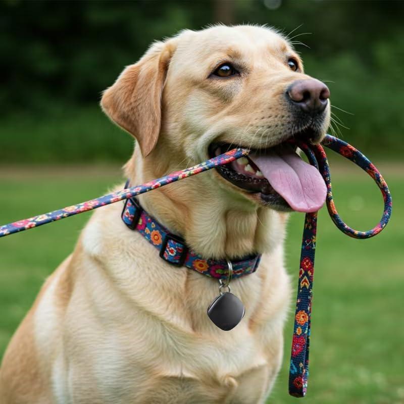 Localizador Bluetooth Onvis Pixietag - Paquete de 2, iOS